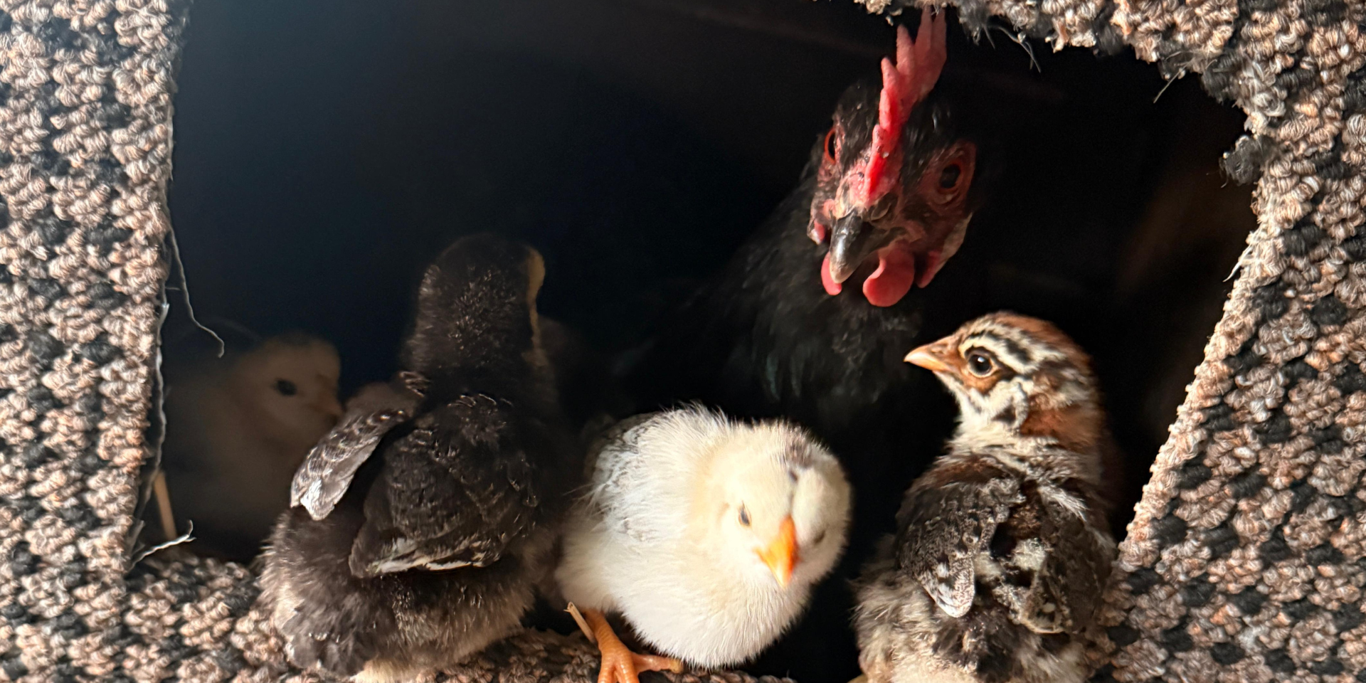 Blerisa Bistro Stuhr Gross Mackenstedt 1