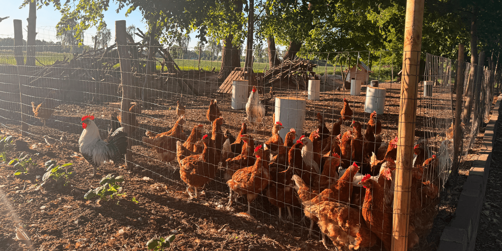 Blerisa Bistro Stuhr Gross Mackenstedt